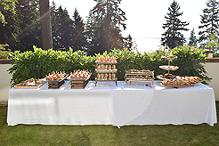 LAUNCH TO VANDERBILT